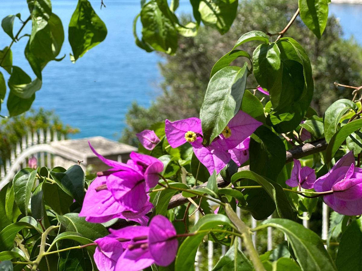 Luxury Seaside Villa With A Classic Mediterranean Olive Garden, A Fully Equipped Professional Kitchen, Pool, Sauna, Padle Boards And Canoe - Miolin Beach House Trogir Exterior foto