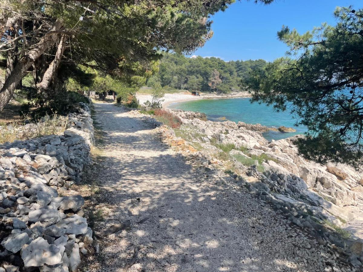 Luxury Seaside Villa With A Classic Mediterranean Olive Garden, A Fully Equipped Professional Kitchen, Pool, Sauna, Padle Boards And Canoe - Miolin Beach House Trogir Exterior foto